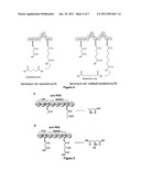 Producing Dicarboxylic Acids Using Polyketide Synthases diagram and image