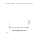 Production of 1,4 Butanediol in a Microorganism diagram and image