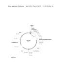 Production of 1,4 Butanediol in a Microorganism diagram and image