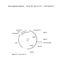 Production of 1,4 Butanediol in a Microorganism diagram and image