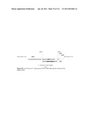 Production of 1,4 Butanediol in a Microorganism diagram and image