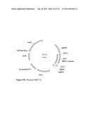 Production of 1,4 Butanediol in a Microorganism diagram and image