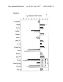 METHOD OF DERIVING PROGENITOR CELL LINE diagram and image