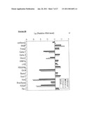 METHOD OF DERIVING PROGENITOR CELL LINE diagram and image