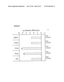 METHOD OF DERIVING PROGENITOR CELL LINE diagram and image