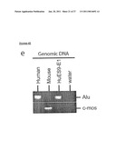 METHOD OF DERIVING PROGENITOR CELL LINE diagram and image