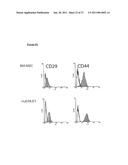 METHOD OF DERIVING PROGENITOR CELL LINE diagram and image