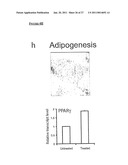 METHOD OF DERIVING PROGENITOR CELL LINE diagram and image