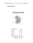 METHOD OF DERIVING PROGENITOR CELL LINE diagram and image