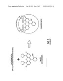 COMPOSITIONS, METHODS AND KITS FOR BIARSENICAL FLUOROPHORE LABELING diagram and image