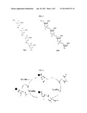 Synthesis of Peptide Nucleic Acids Conjugated with Amino Acids and Their Application diagram and image