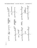 Synthesis of Peptide Nucleic Acids Conjugated with Amino Acids and Their Application diagram and image