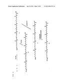 Synthesis of Peptide Nucleic Acids Conjugated with Amino Acids and Their Application diagram and image