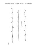 Synthesis of Peptide Nucleic Acids Conjugated with Amino Acids and Their Application diagram and image