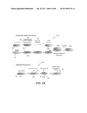 APPARATUS FOR TEMPORARY WAFER BONDING AND DEBONDING diagram and image