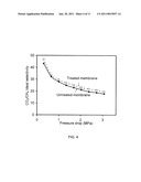 MEMBRANES FOR HIGHLY SELECTIVE SEPARATIONS diagram and image