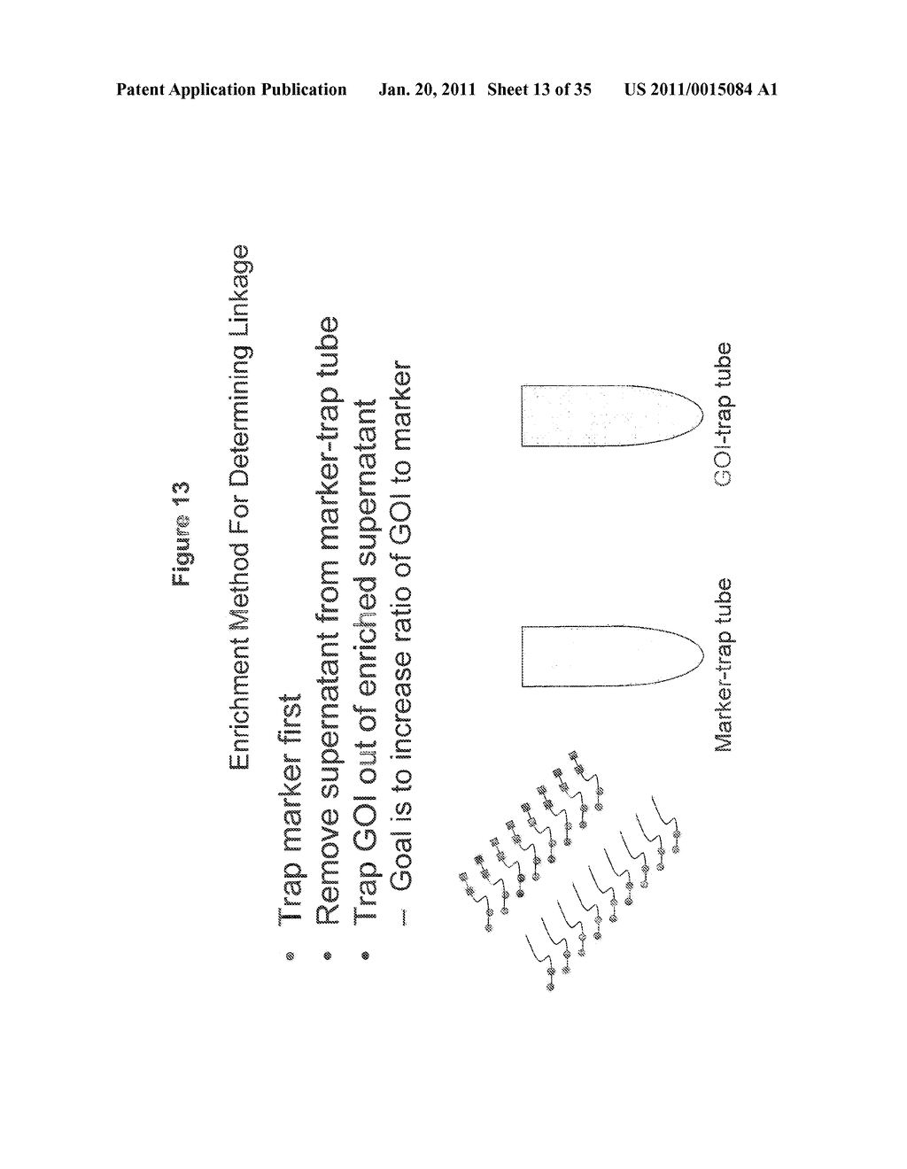 Methods for Identifying Genetic Linkage - diagram, schematic, and image 14