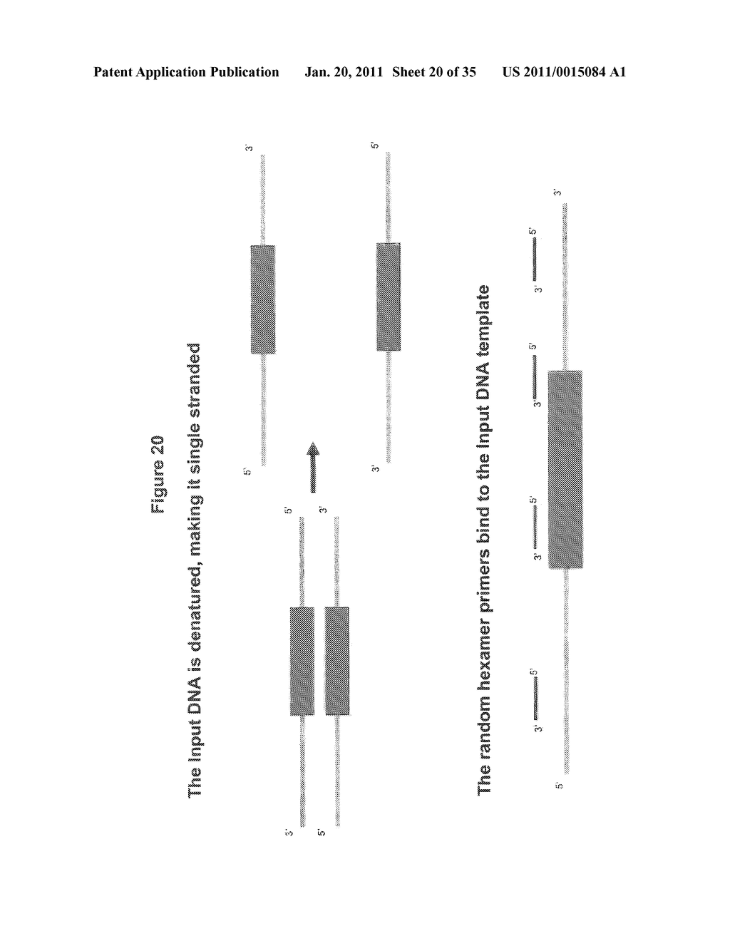 Methods for Identifying Genetic Linkage - diagram, schematic, and image 21