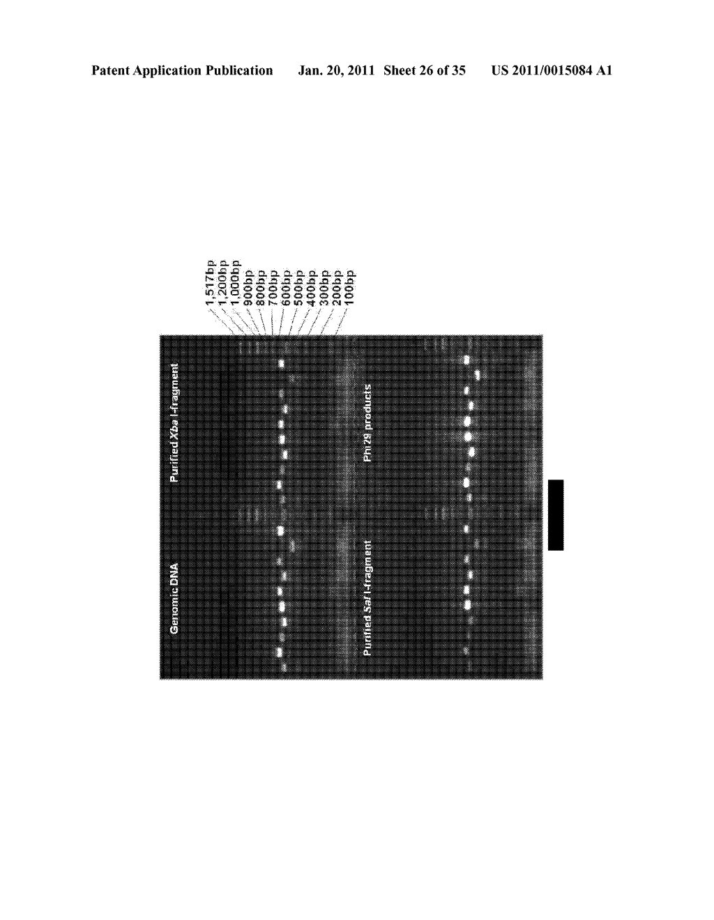 Methods for Identifying Genetic Linkage - diagram, schematic, and image 27