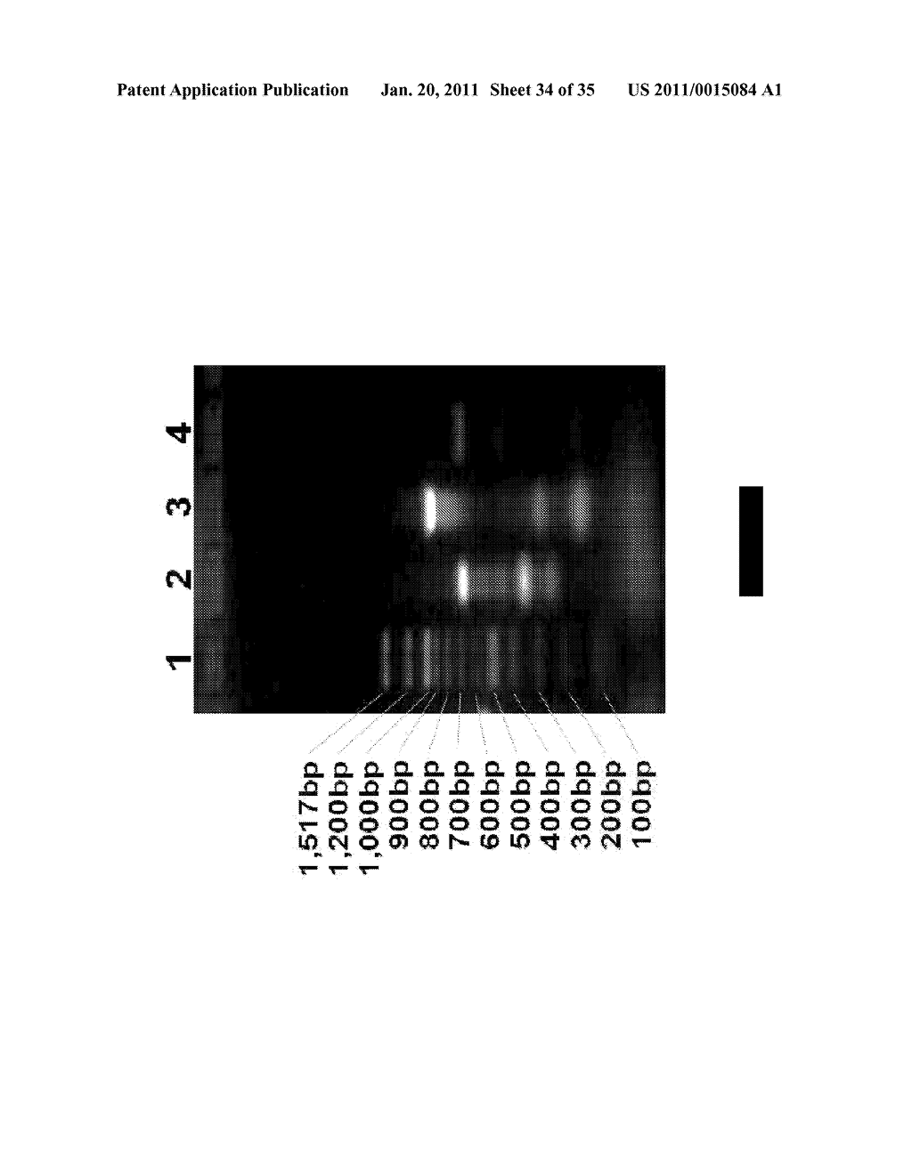 Methods for Identifying Genetic Linkage - diagram, schematic, and image 35