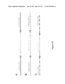 Methods for Identifying Genetic Linkage diagram and image