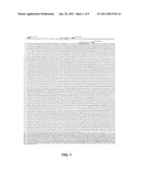 C-Terminal Ifapsoriasin Fragments as Antimicrobial Peptides, the Production Thereof and Use Thereof diagram and image