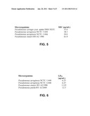 C-Terminal Ifapsoriasin Fragments as Antimicrobial Peptides, the Production Thereof and Use Thereof diagram and image