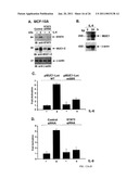 INHIBITION OF INFLAMMATION USING ANTAGONISTS OF MUC1 diagram and image