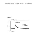 USE OF NORGESTIMATE AS A SELECTIVE INHIBITOR OF TRPC3, TRPC6 AND TRPC7 ION CHANNELS diagram and image