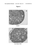 METHODS FOR IN VITRO MATURATION OF OVARIAN FOLLICLES diagram and image
