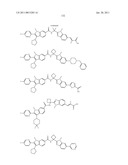 Viral Polymerase Inhibitors diagram and image