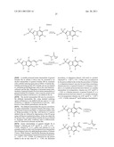 Viral Polymerase Inhibitors diagram and image