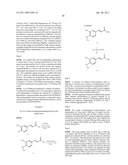 Viral Polymerase Inhibitors diagram and image