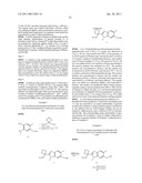 Viral Polymerase Inhibitors diagram and image