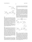 Viral Polymerase Inhibitors diagram and image