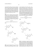 Viral Polymerase Inhibitors diagram and image