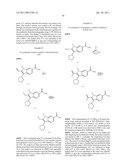 Viral Polymerase Inhibitors diagram and image