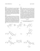 Viral Polymerase Inhibitors diagram and image