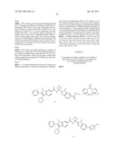 Viral Polymerase Inhibitors diagram and image