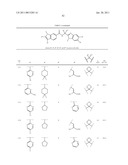 Viral Polymerase Inhibitors diagram and image