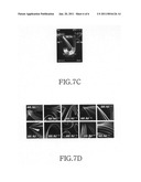 Method of displaying adaptive album art for portable terminal and apparatus for providing the same diagram and image