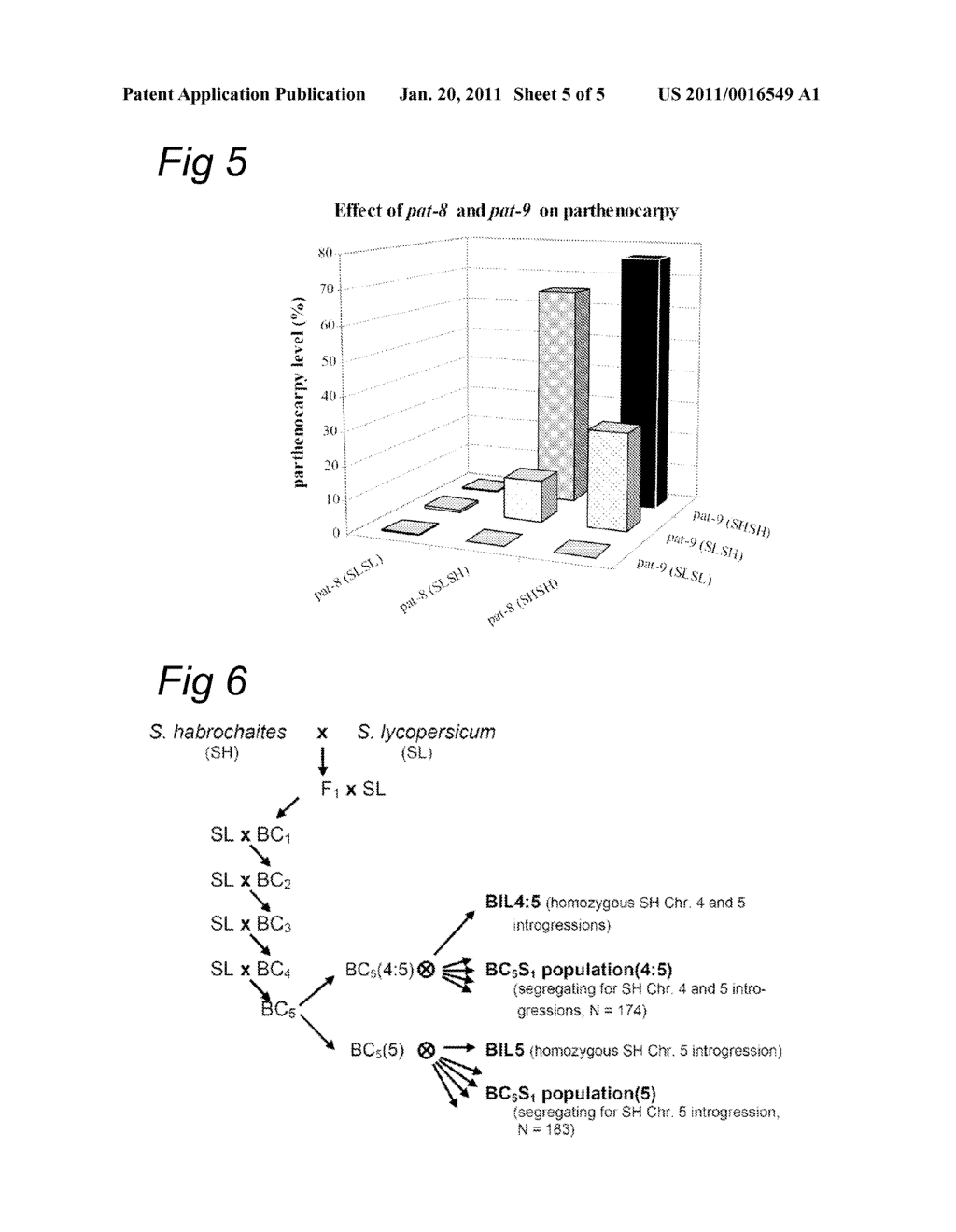 Parthenocarpy Genes in Tomato - diagram, schematic, and image 06