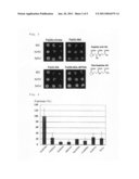 Gene of transporter selective to mugineic acid-iron complex diagram and image