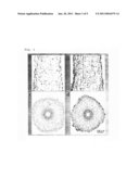 Gene of transporter selective to mugineic acid-iron complex diagram and image