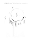 DELTA-8 DESATURASES AND THEIR USE IN MAKING POLYUNSATURATED FATTY ACIDS diagram and image