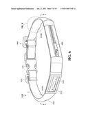 Wearable sound system for animals diagram and image