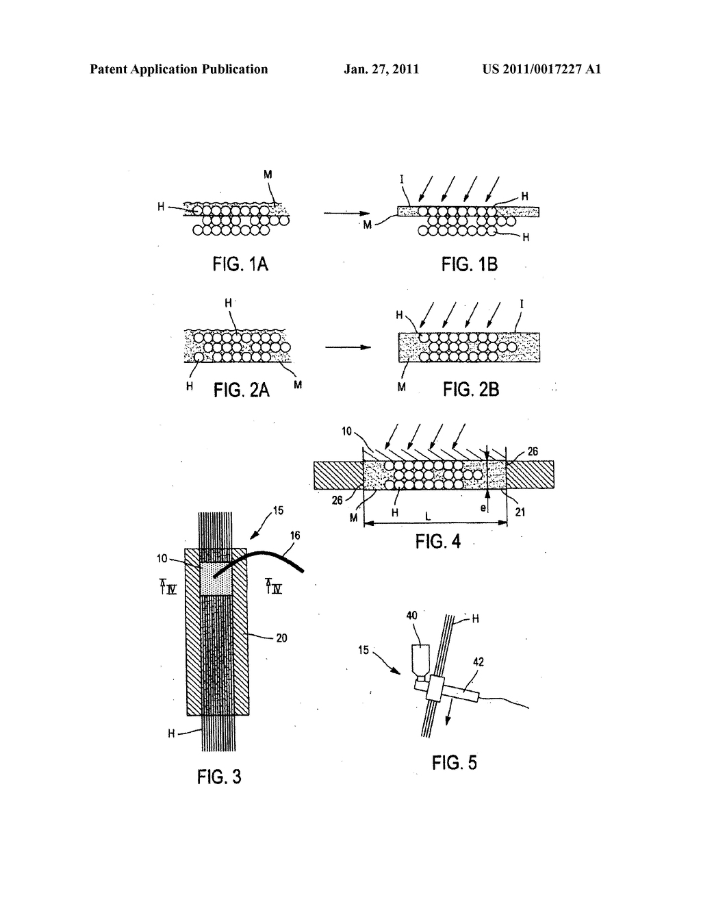 HAIR TREATMENT METHOD INVOLVING IRRADIATION THROUGH AN OPTICAL MEDIUM - diagram, schematic, and image 02