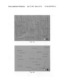 Methods and apparatus to produce aligned film of lyotropic chromonic liquid crystals diagram and image