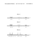 TOUCH SCREEN PANEL AND METHOD OF MANUFACTURING THE SAME diagram and image