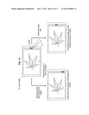 SENSING A TYPE OF ACTION USED TO OPERATE A TOUCH PANEL diagram and image